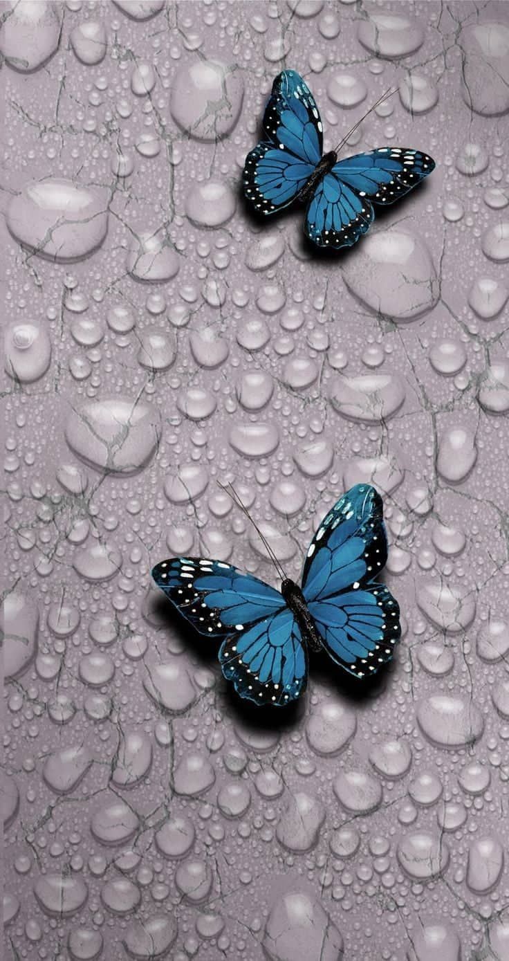 Papel de parede delicadeza