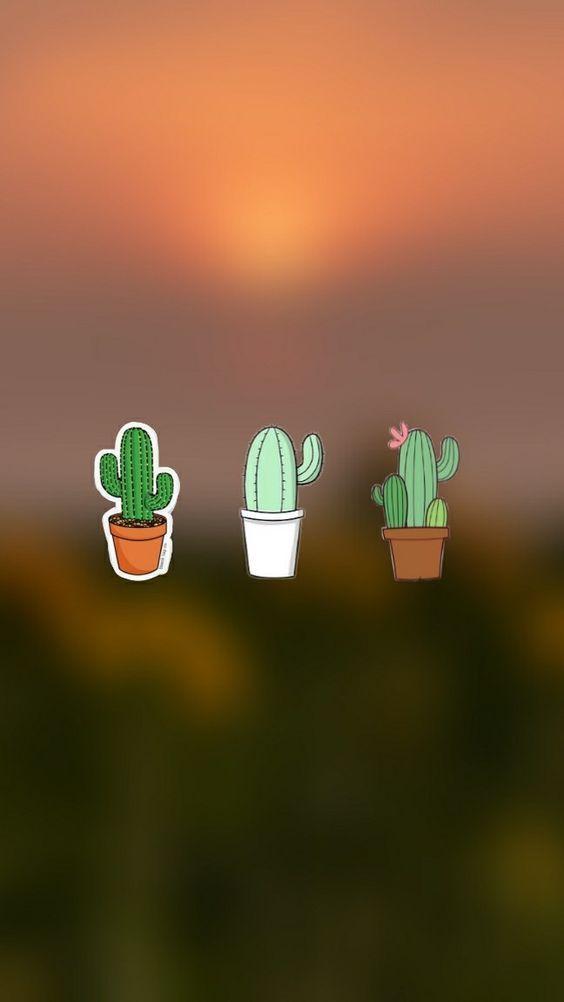 papel de parede com cactos