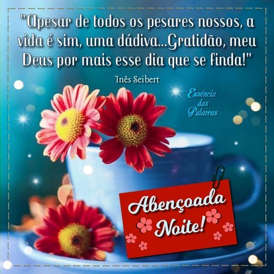 Boa noite gratidão mais esse dia