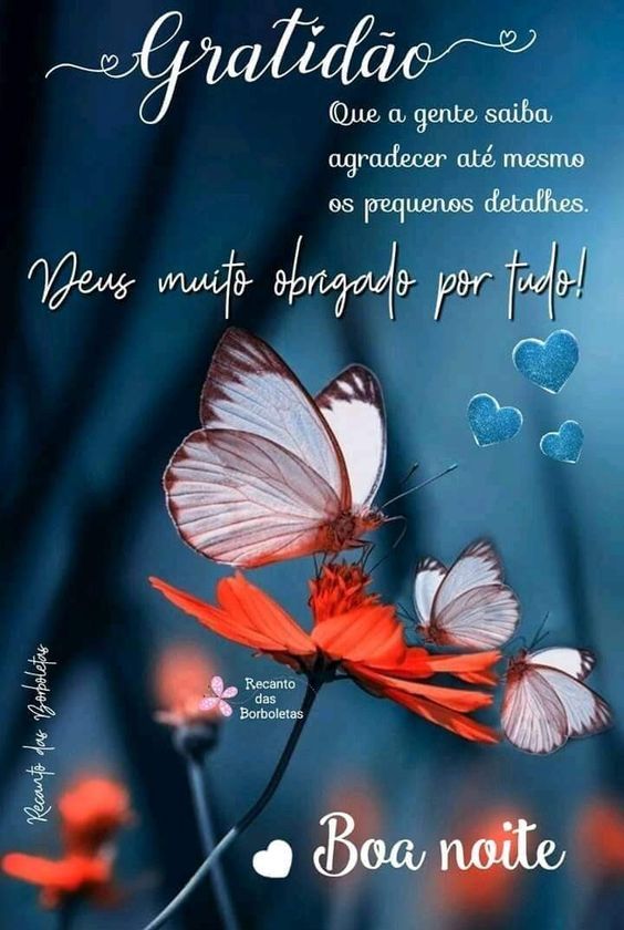 Deus muito obrigado por tudo