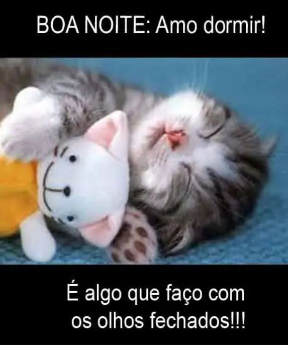 Boa noite amo dormir