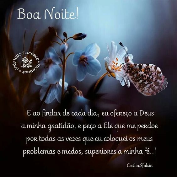 Boa noite ao findar de cada dia