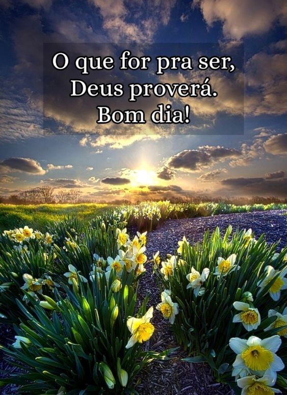 50 Imagens e Frases de Bom dia com Paisagens bonitas