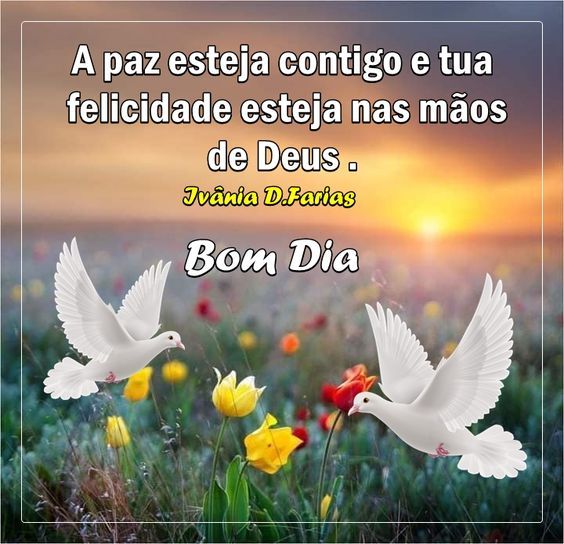 A paz esteja contigo