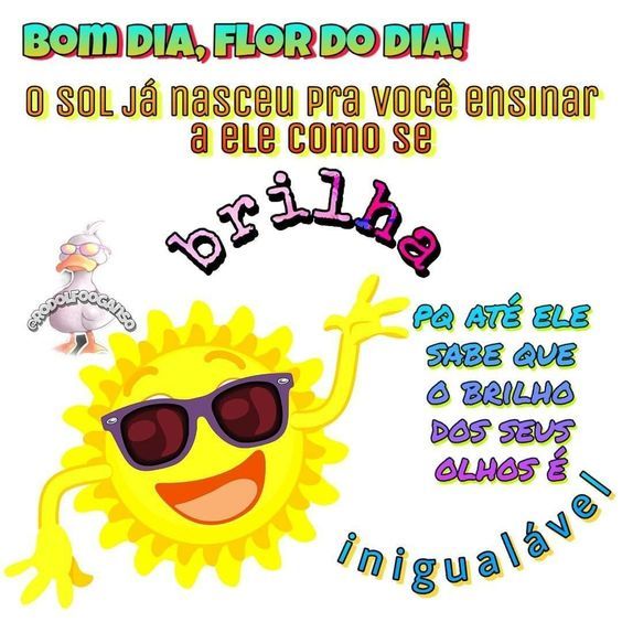 Bom dia flor do dia