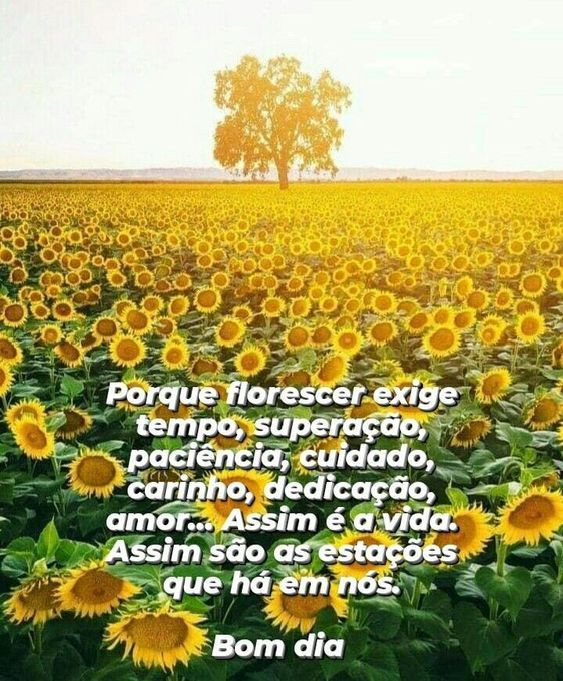 Porque florescer exige tempo