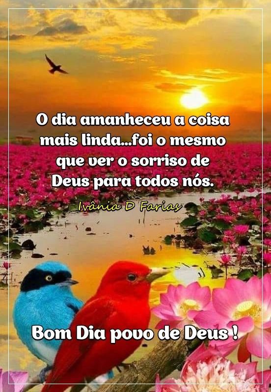 O dia amanheceu a coisa mais linda