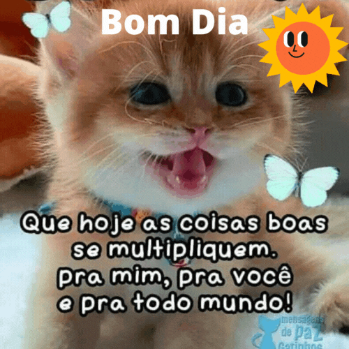 Bom dia pra todo mundo