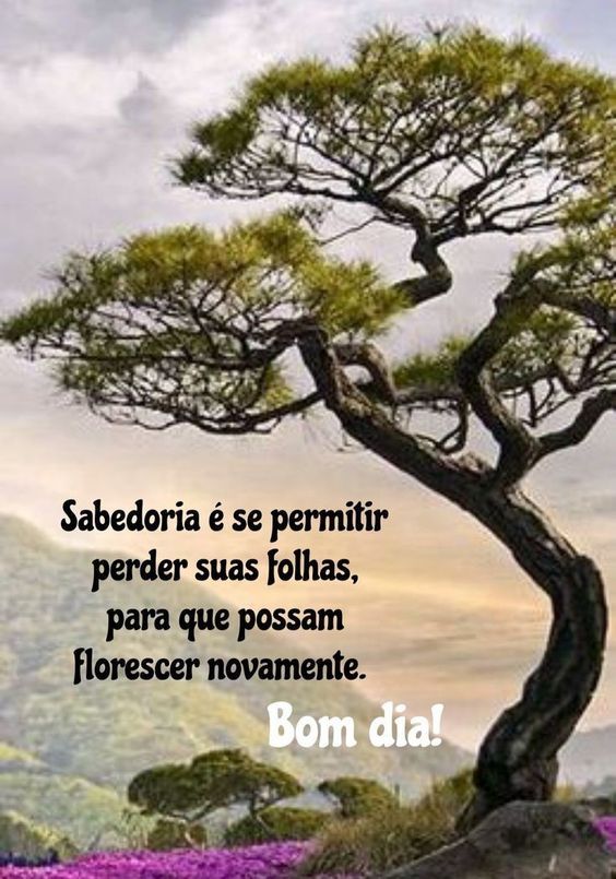 Bom dia florescer novamente