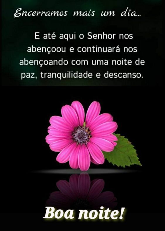 Encerramos mais um dia