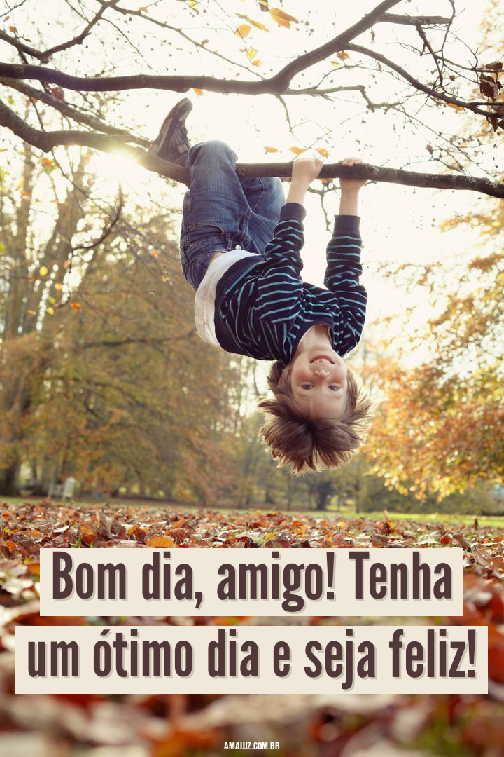 Imagens com frases de bom dia para amigo