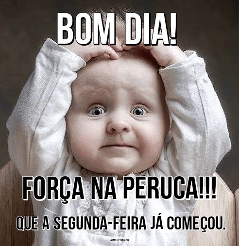 30 Frases de Feliz Segunda-feira com Imagens engraçadas