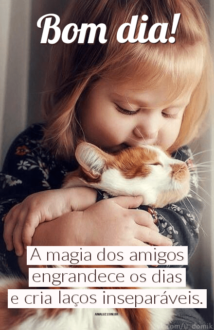 A magia dos amigos engrandece o dia