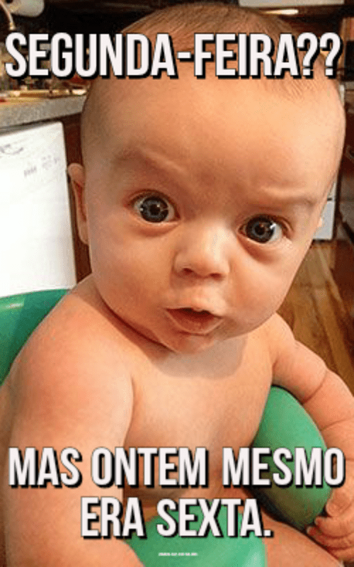Frases de Segunda-feira com imagens engraçadas