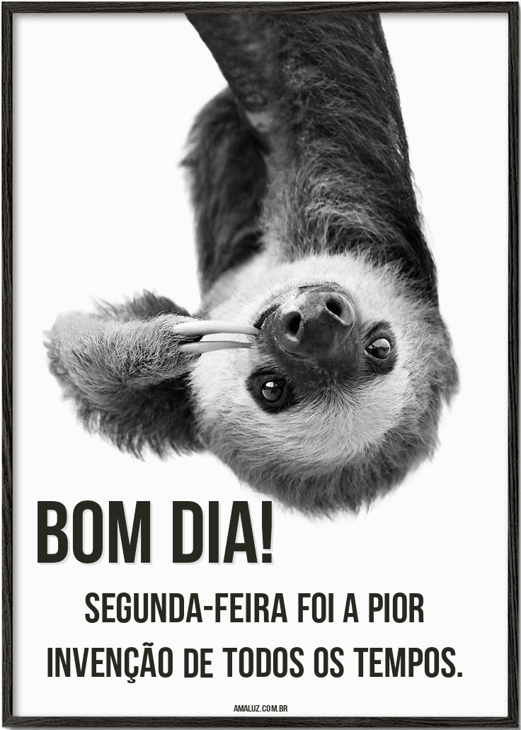 Bom dia de segunda-feira engraçada