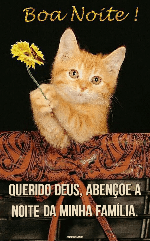 Deus abençoe a noite da minha família 