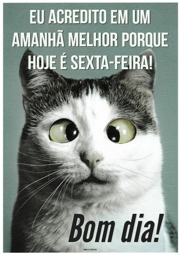 Frases engraçadas de Bom dia Sexta-feira 