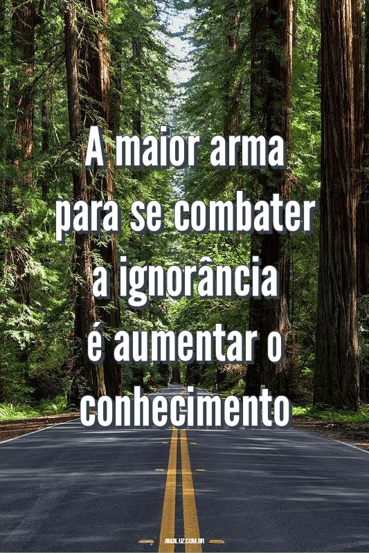 Frases de pensadores inteligentes