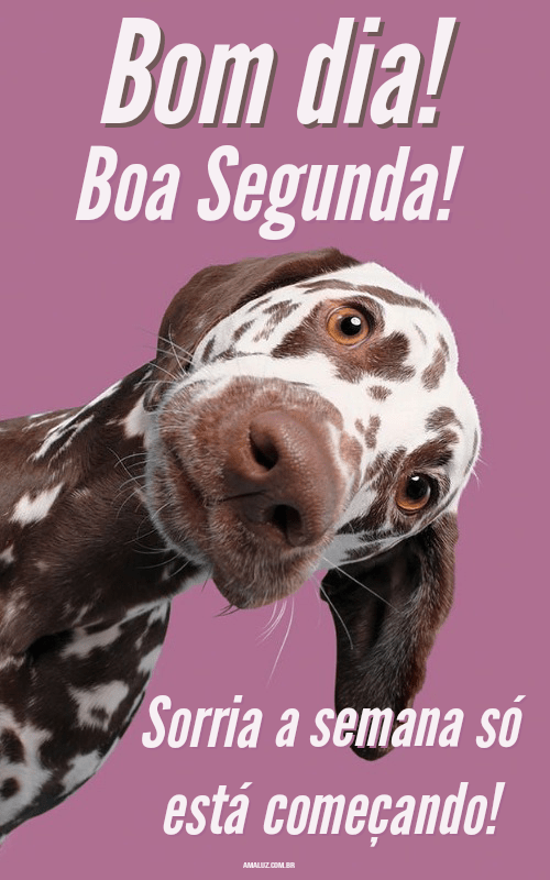 Sorria a semana só está começando bom dia segunda