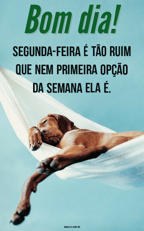 Imagens e frases engraçadas para segunda-feira