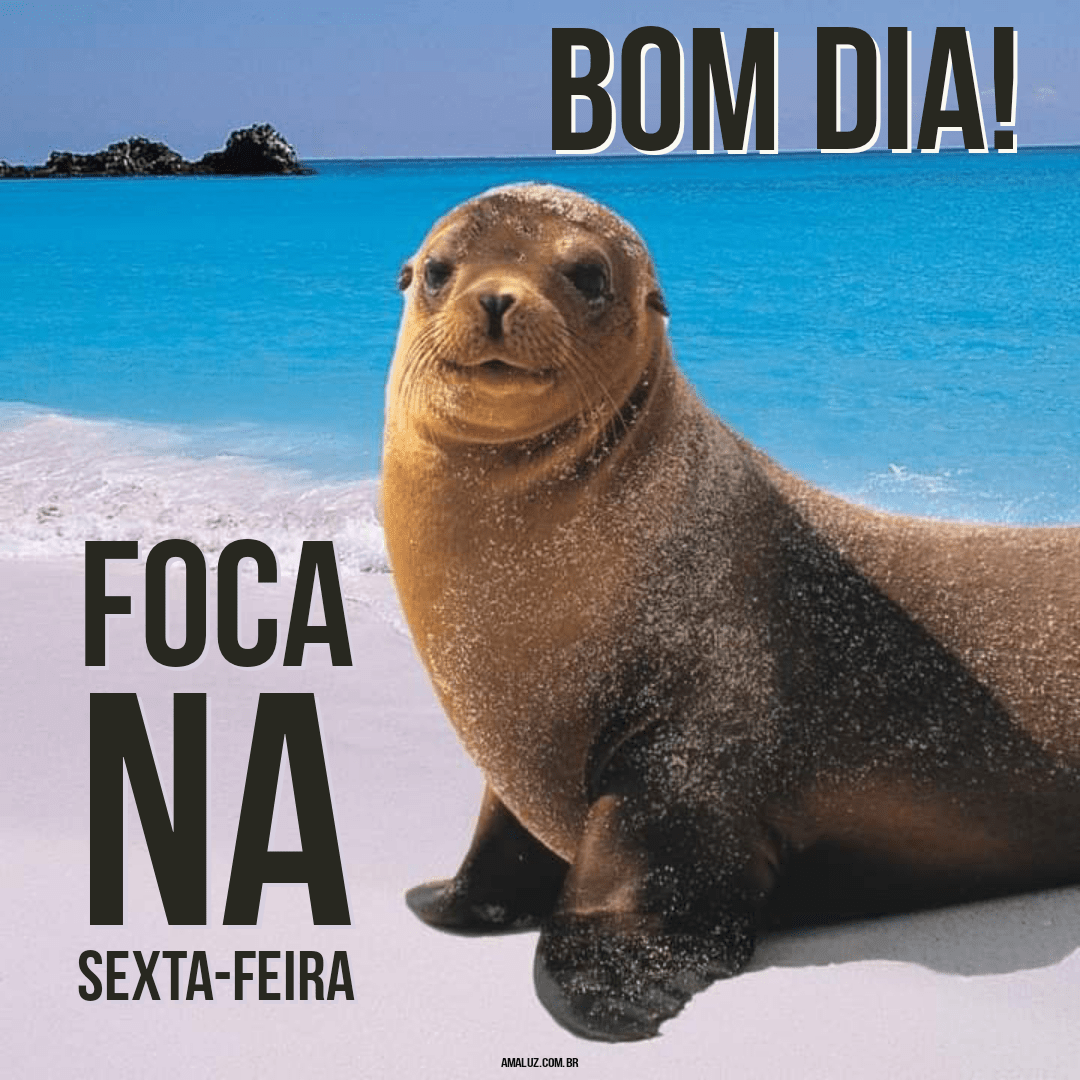 Bom dia sexta-feira com humor