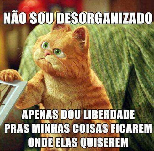 Os memes mais engraçados de gato