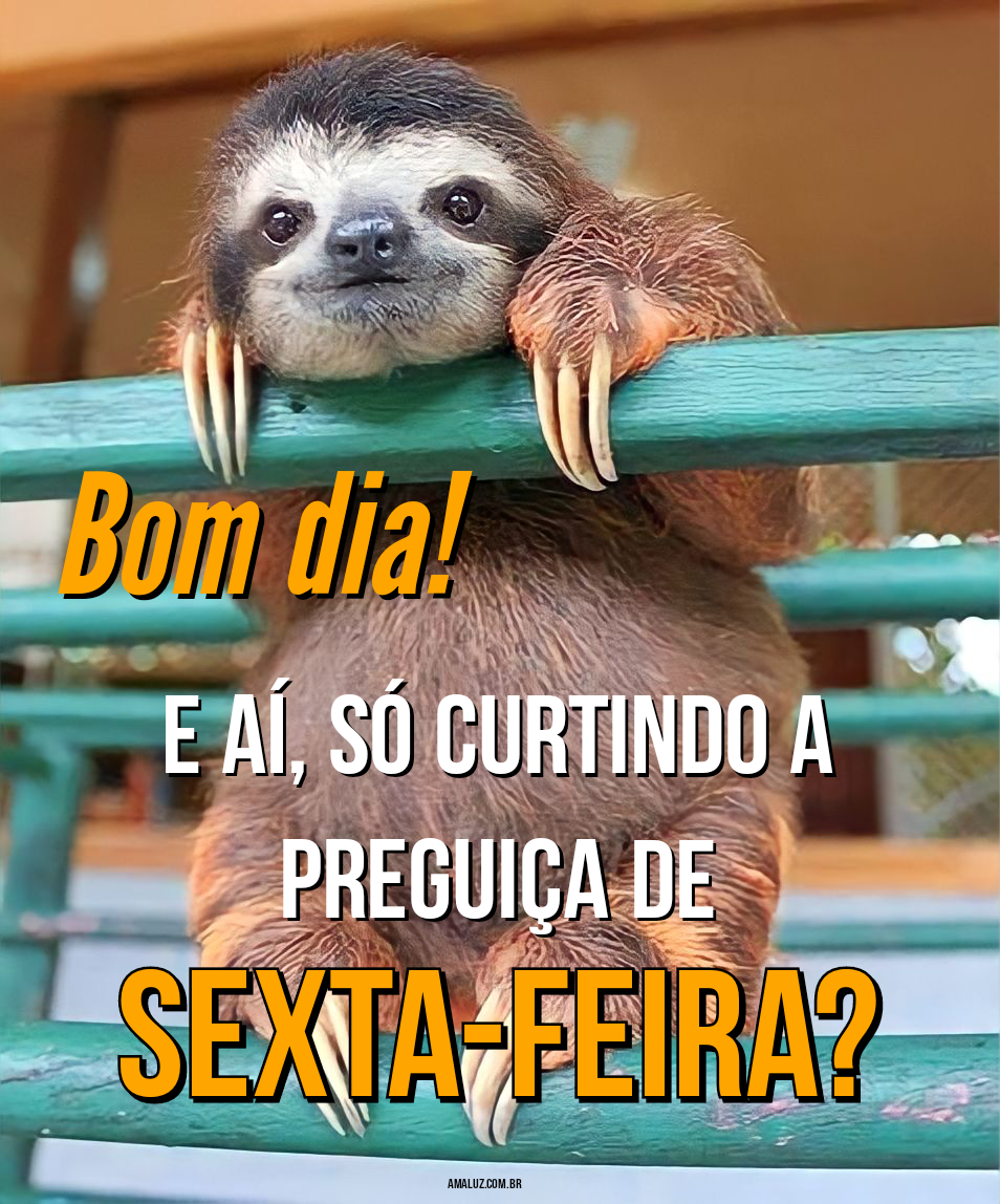 Frases super engraçadas de bom dia sexta