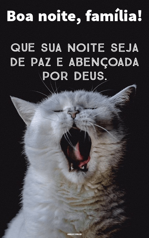 Boa noite família frases