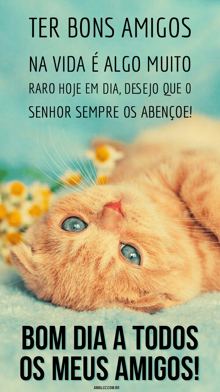 Bom dia a todos os meus amigos