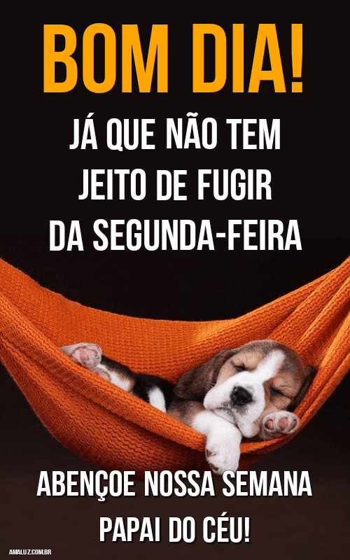 Bom dia segunda-feira engraçada para whatsapp