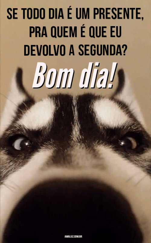 Frases engraçadas de segunda-feira