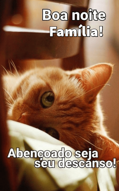 Boa noite família abençoado descanso