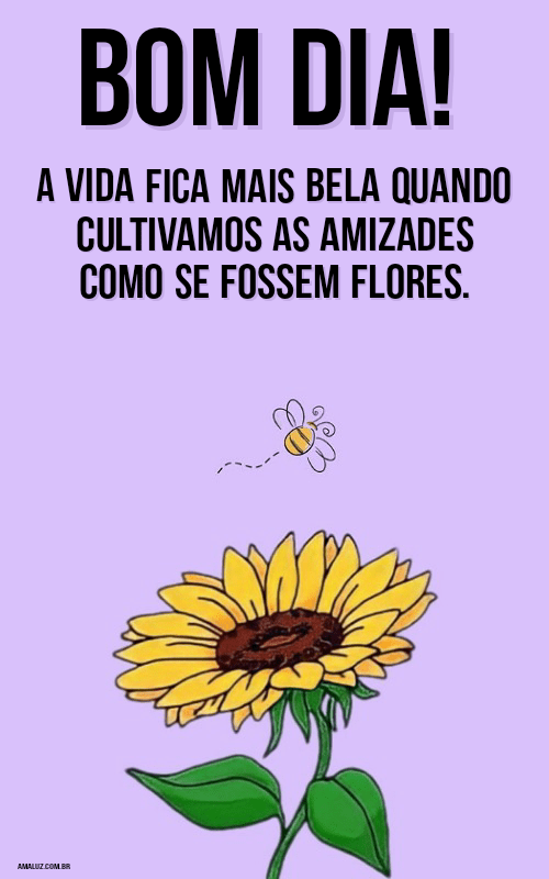 Imagens de bom dia para amigo com frases especiais
