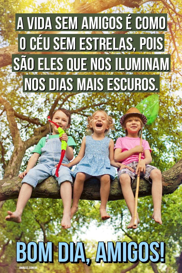 Bom dia amigos