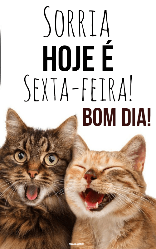Sorria hoje é sexta-feira 