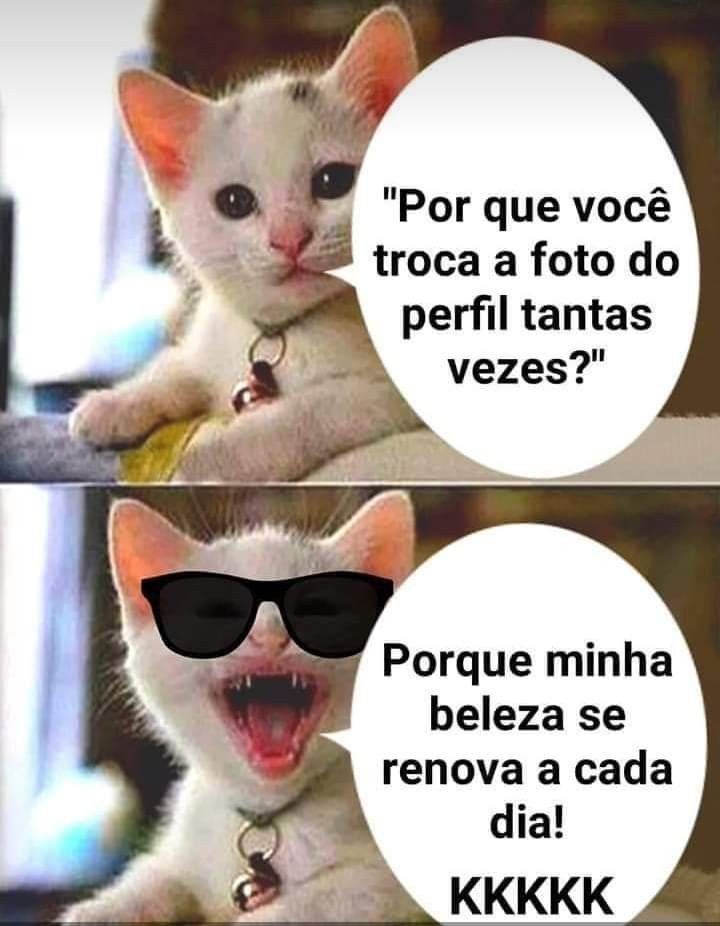 Engraçados memes do gato irônico