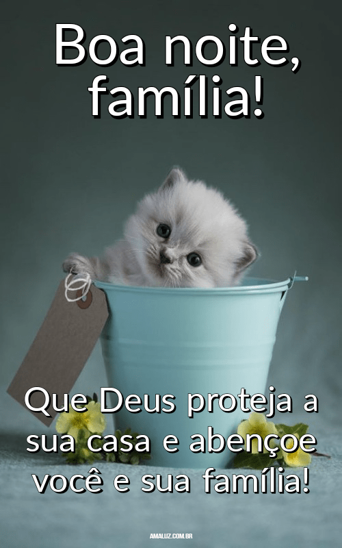 Boa noite que Deus abençoe você e sua família 