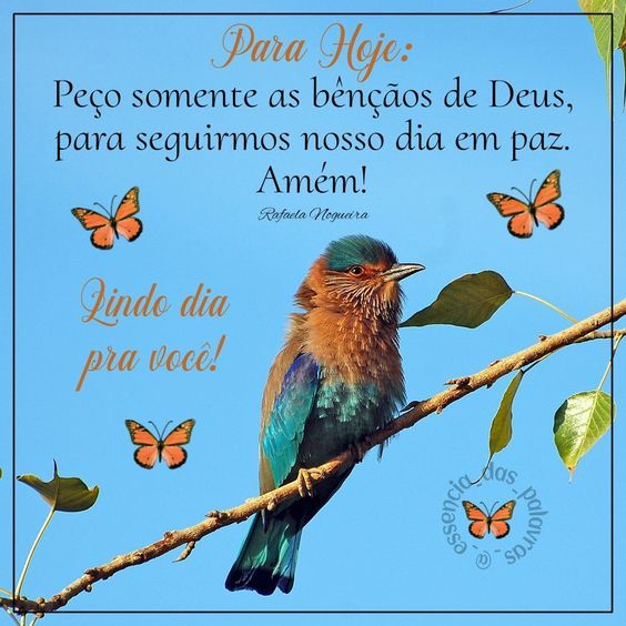 Lindo dia de bênçãos pra você