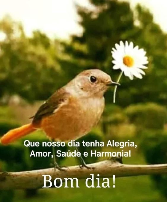 Nosso dia tenha alegria