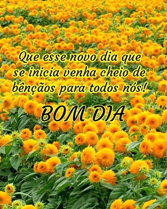 Bom dia cheios de bênçãos para todos