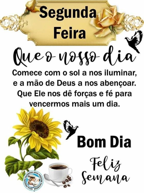 Segunda-feira com sol a iluminar