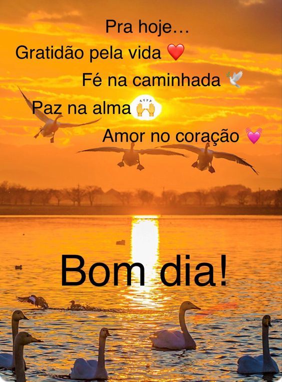 Bom dia para Whatsapp