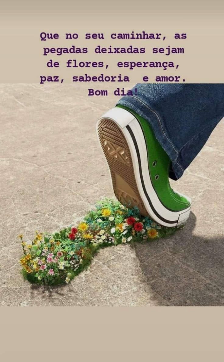 Frase de bom dia com rosas e flores