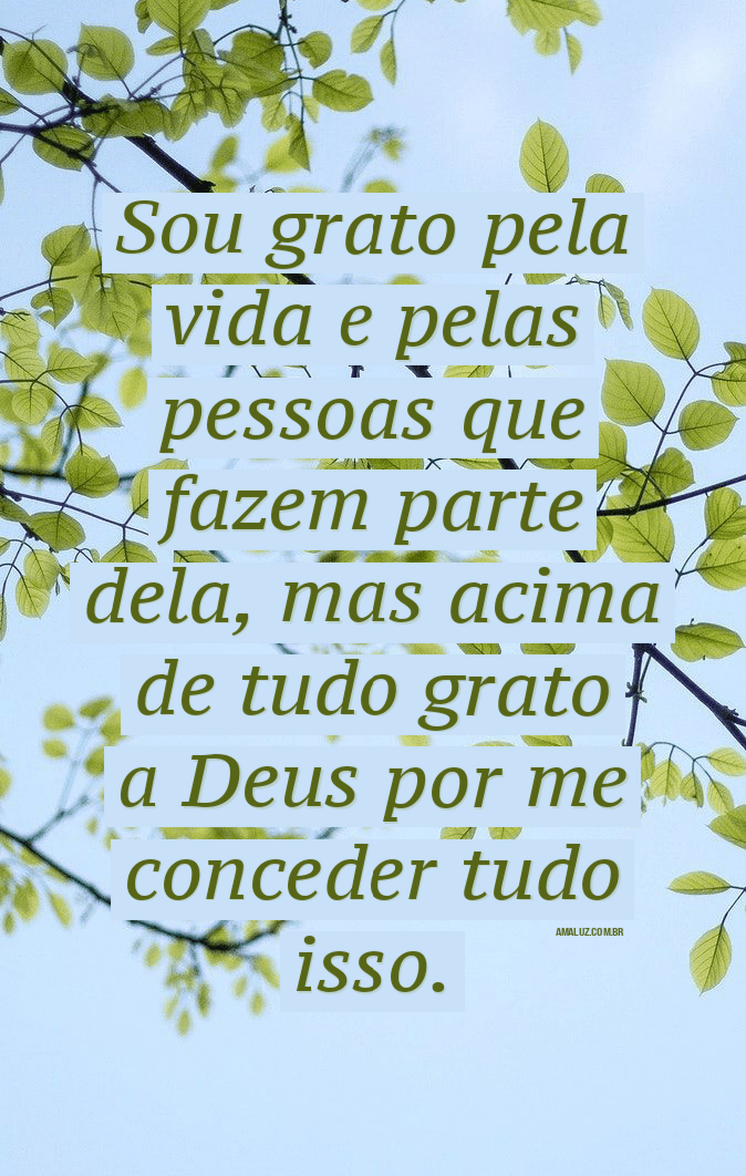 Frases de agradecimento