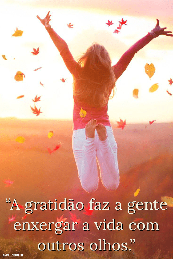 Frases de gratidçao para status do whatsapp