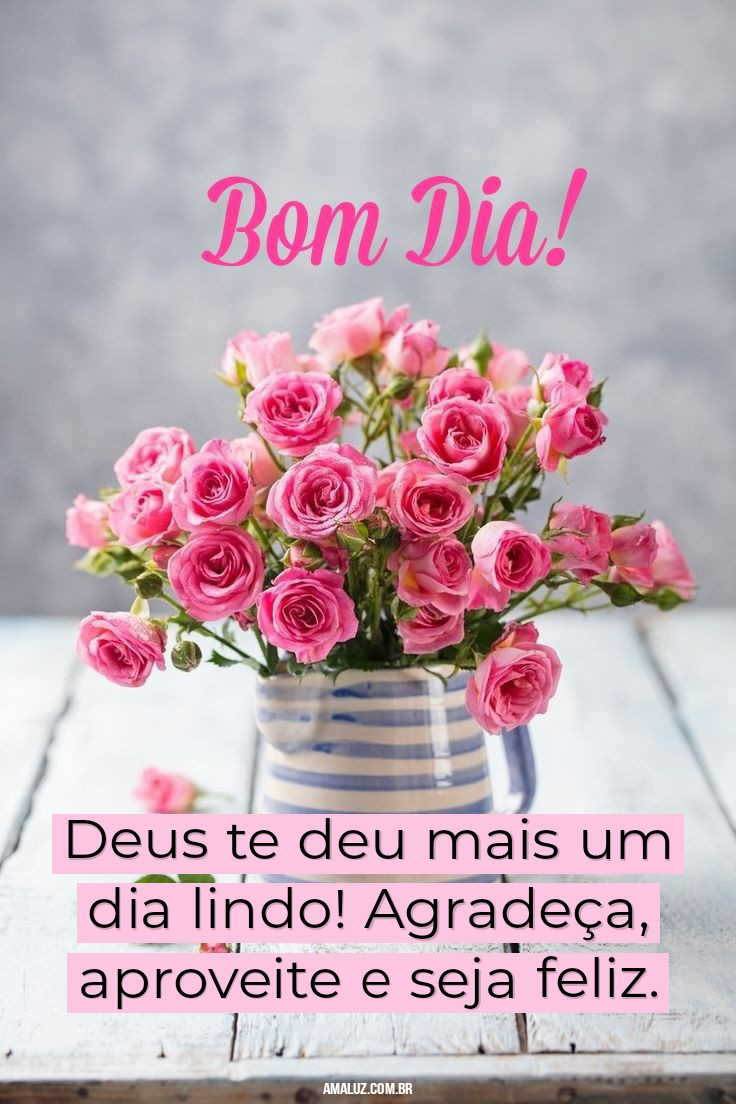 Imagens de flores e frases de bom dia