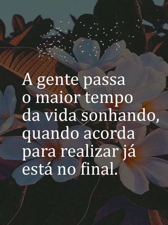 Passamos a vida sonhando