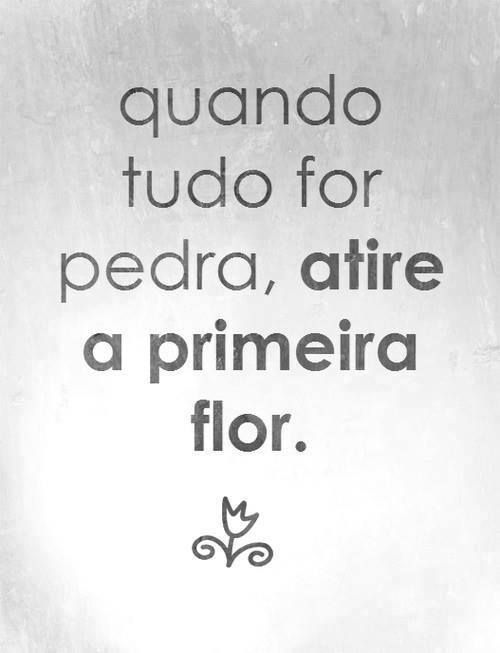 Perfeitas frases tumblr