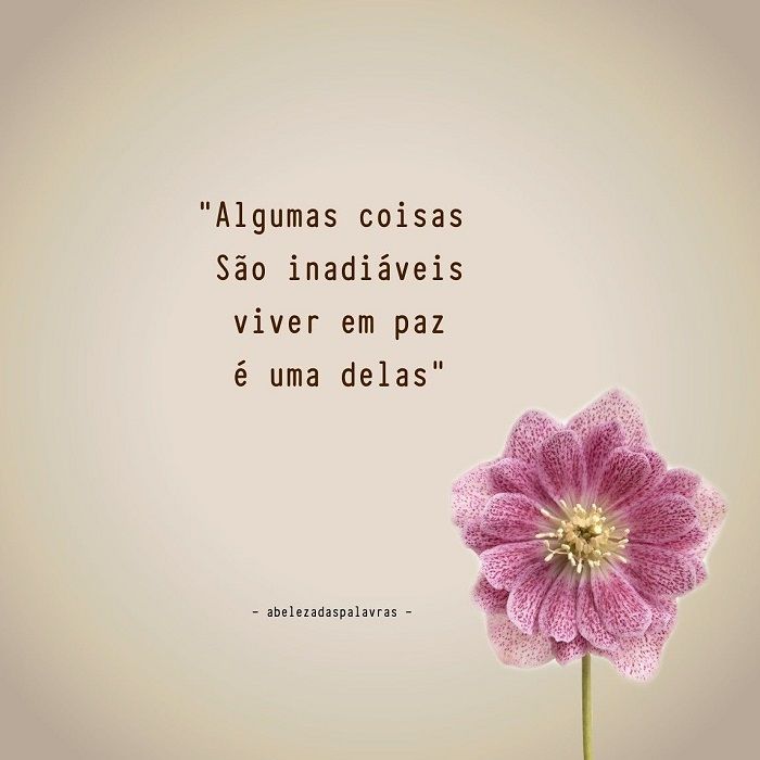 Viver em paz é inadiável