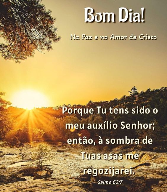 Porque tu tens sido meu auxílio Senhor